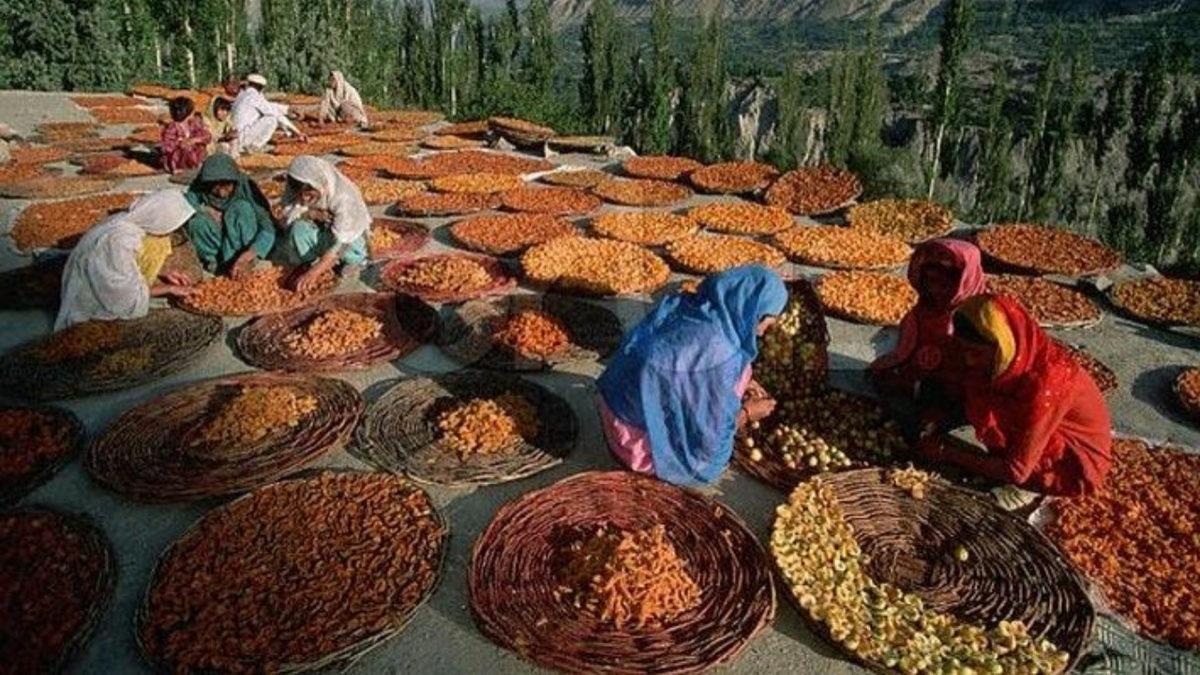 Ölümsüzlüğün Formülünü ’Bulduğu’ Söylenen Toplum Hunzalar’ın Sıra Dışı Gerçekleri
