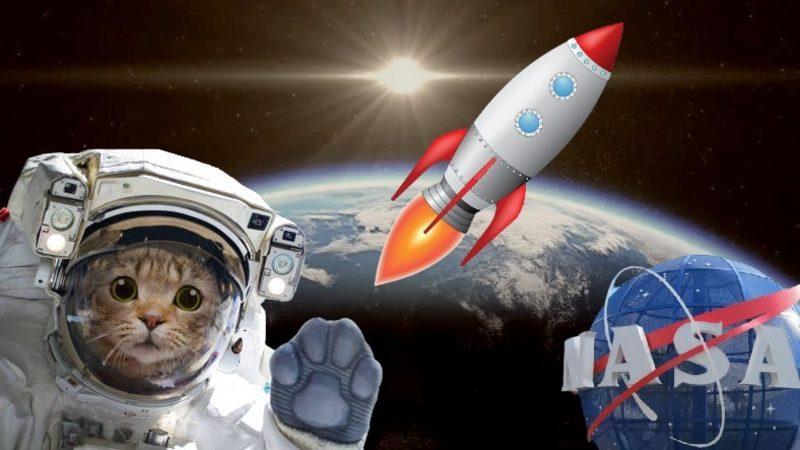 Ay’a Bir Kez Daha Gidiyoruz: 2022 Yılında Yapılması Planlanan 15 Uzay Görevi