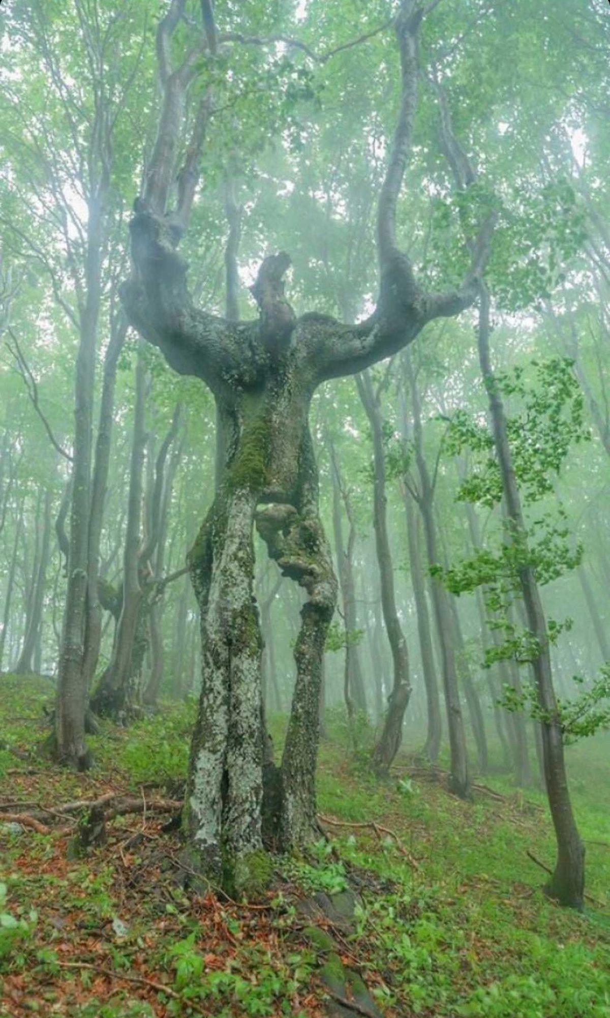Gördüğünüz An Bir Süre Donup Kalmanıza Neden Olacak 25 Sıra Dışı Görüntü