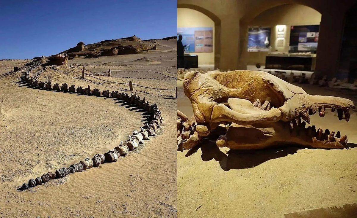 Gördüğünüz An Bir Süre Donup Kalmanıza Neden Olacak 25 Sıra Dışı Görüntü