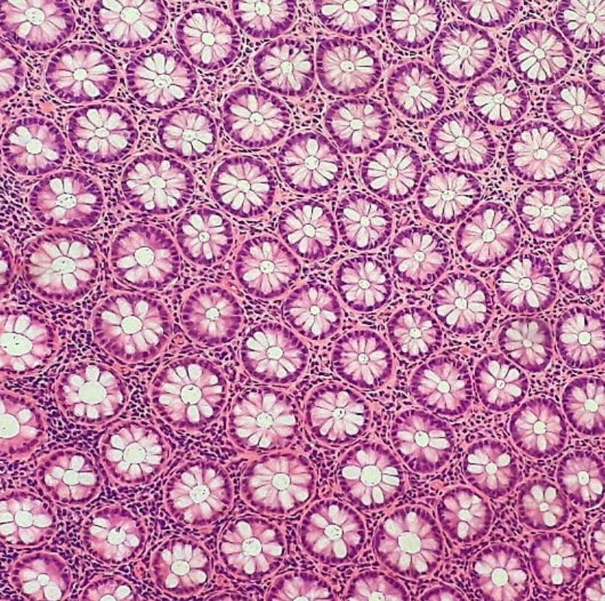 Gördüğünüz An Bir Süre Donup Kalmanıza Neden Olacak 25 Sıra Dışı Görüntü