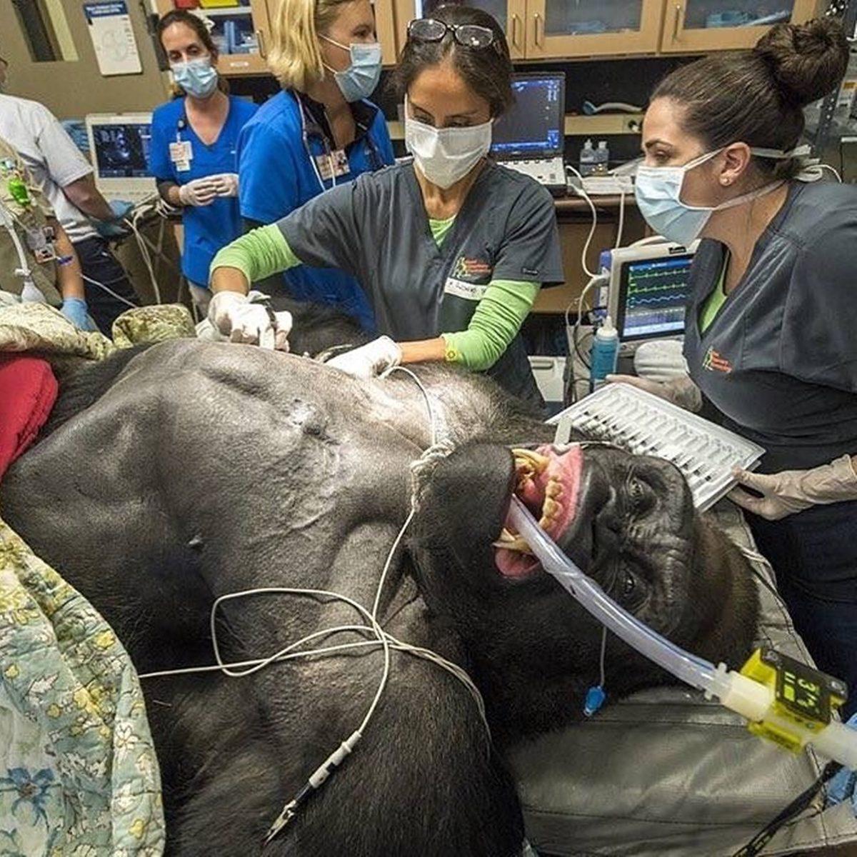 Gördüğünüz An Bir Süre Donup Kalmanıza Neden Olacak 25 Sıra Dışı Görüntü