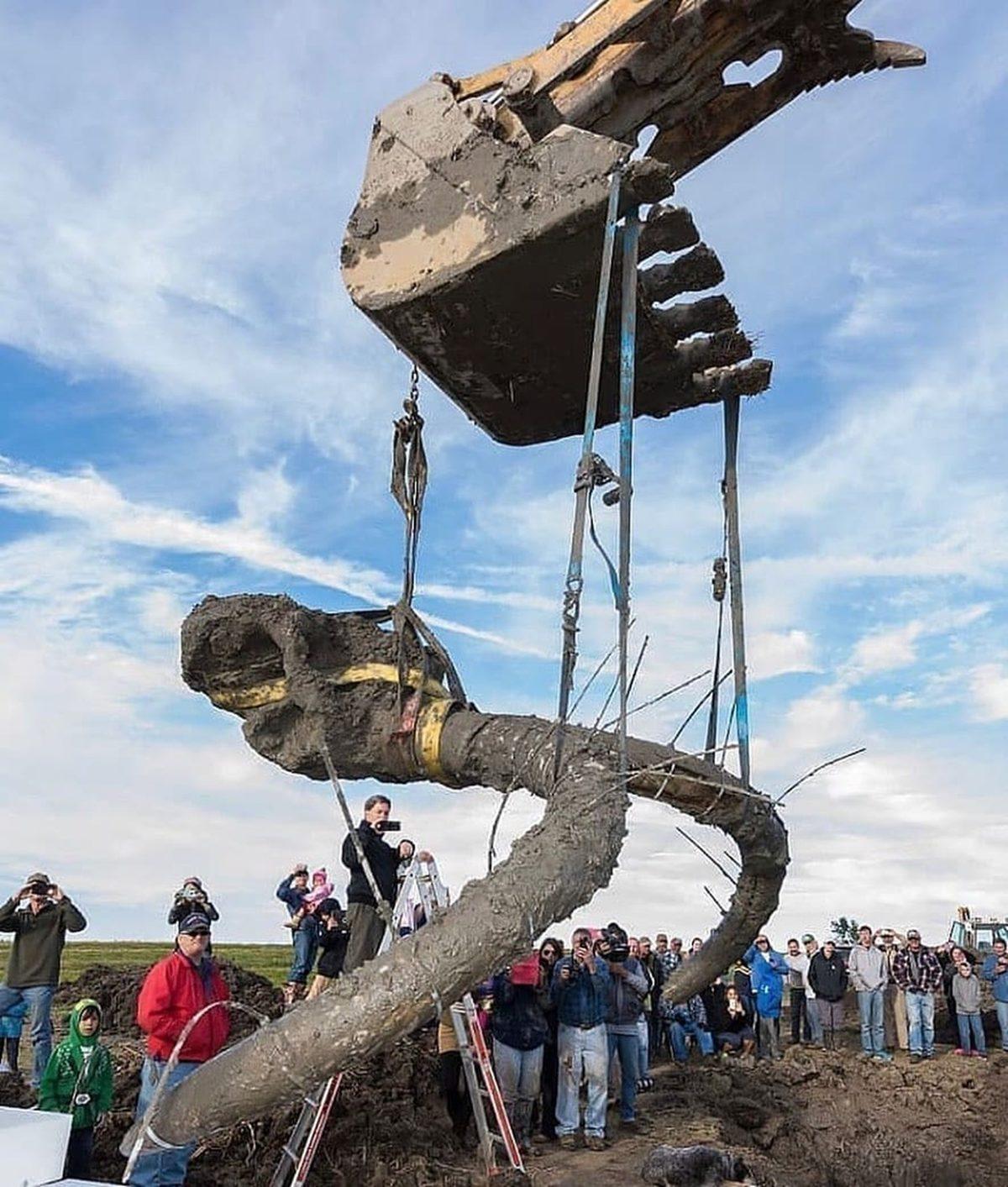 Gördüğünüz An Bir Süre Donup Kalmanıza Neden Olacak 25 Sıra Dışı Görüntü
