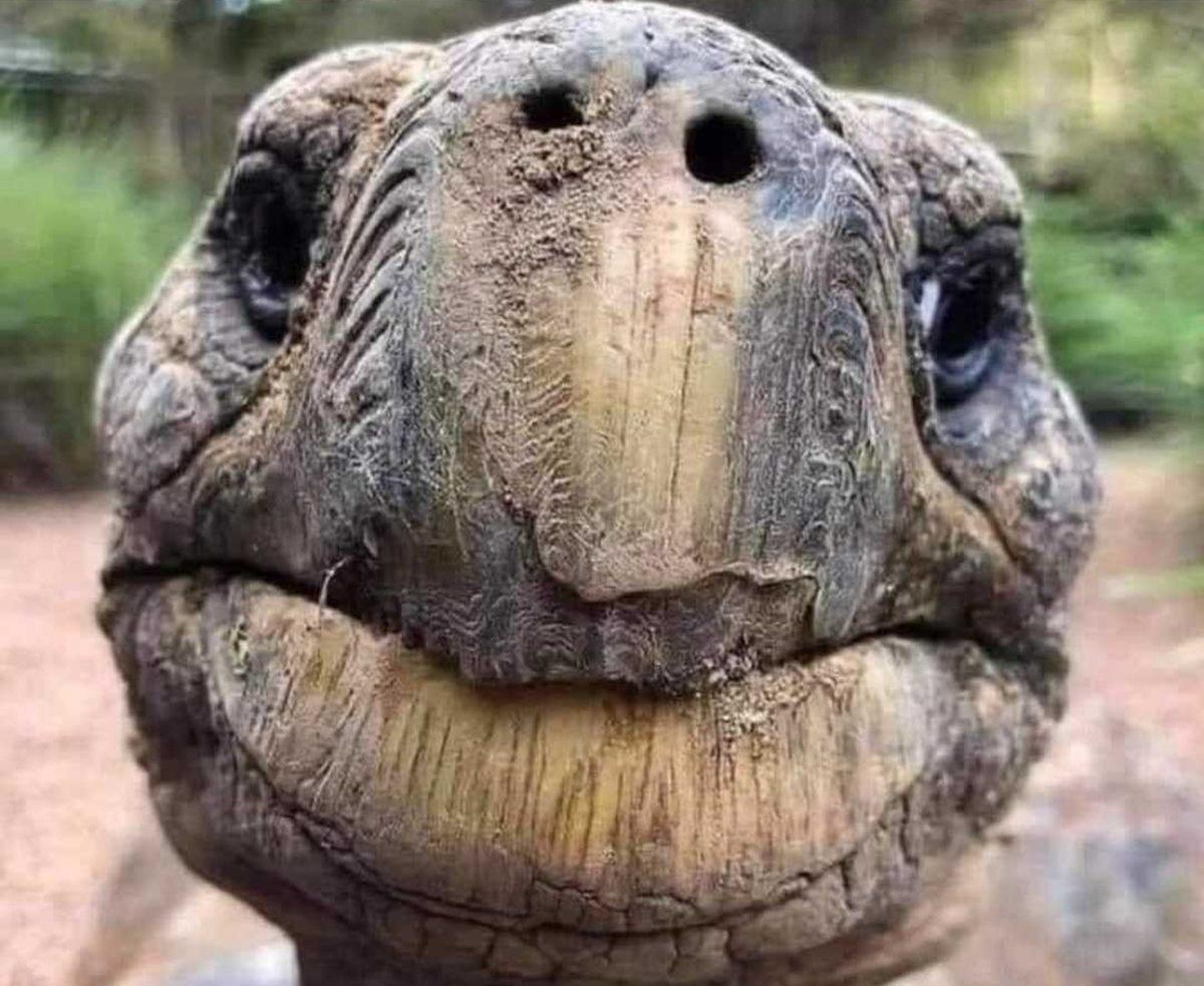 Gördüğünüz An Bir Süre Donup Kalmanıza Neden Olacak 25 Sıra Dışı Görüntü