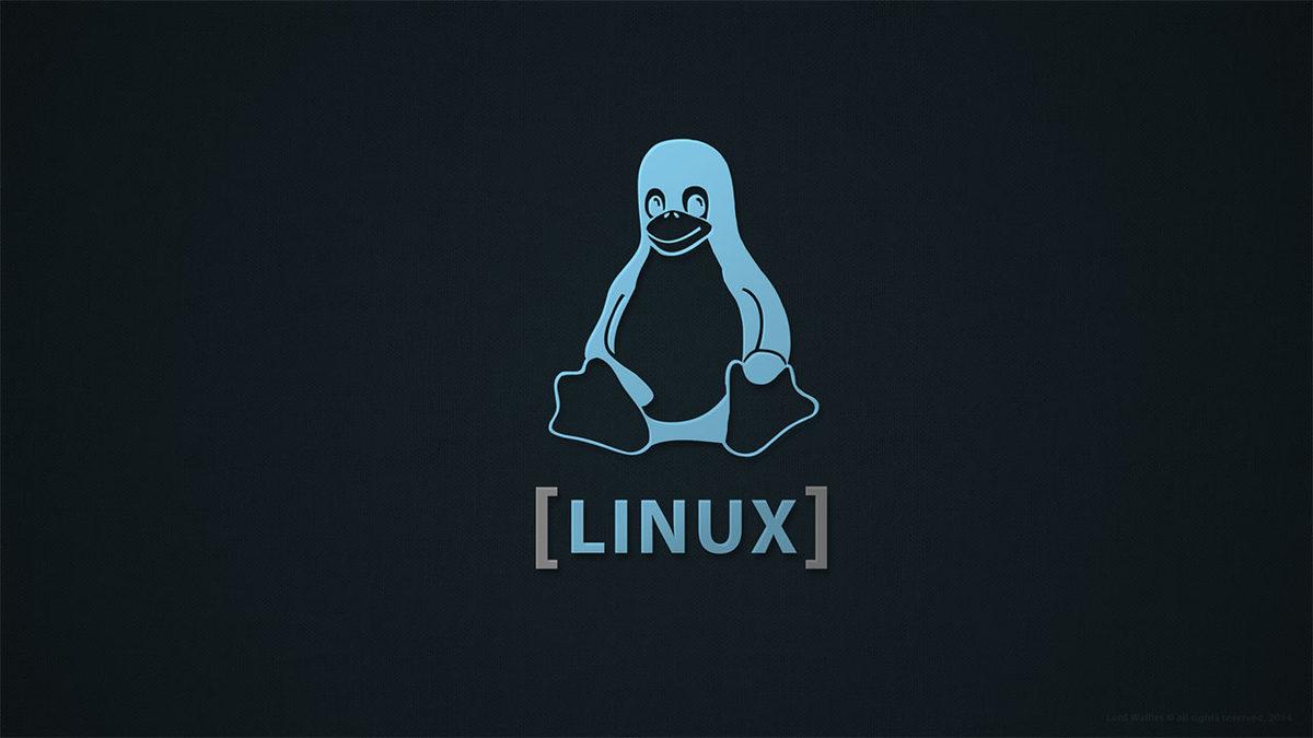 Windows ve Linux İşletim Sistemleri Arasındaki 13 Önemli Fark