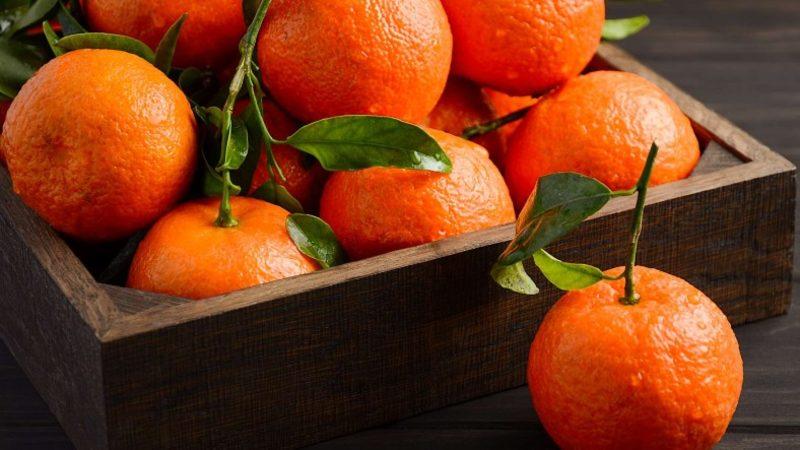 Kış Geliyor, Mandalina Yiyin: Avrupa’nın En Fazla Meyve Tüketen Ülkeleri Belli Oldu (Türkiye Kaçıncı Sırada?)