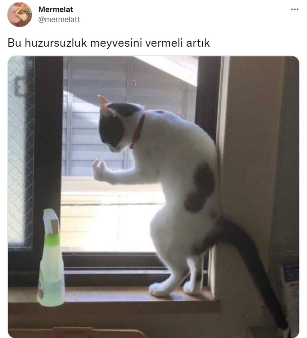 Canı Sıkılanlar Buraya: Bu Haftanın Gözden Kaçırılmaması Gereken En Komik 17 Tweet’i