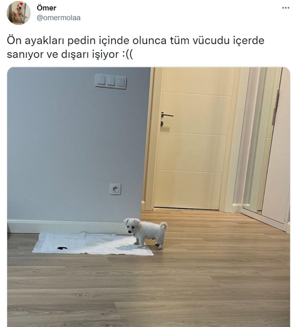 Canı Sıkılanlar Buraya: Bu Haftanın Gözden Kaçırılmaması Gereken En Komik 17 Tweet’i