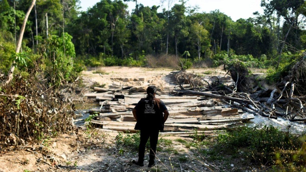Dünya’nın Akciğerleri Kuruyor: Bilim İnsanları Amazon’un Çöküşün Eşiğinde Olduğunu Açıkladı