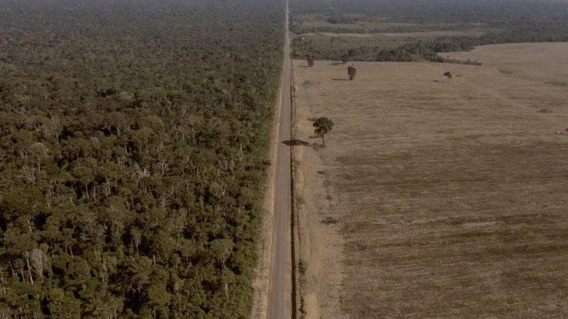 Dünya’nın Akciğerleri Kuruyor: Bilim İnsanları Amazon’un Çöküşün Eşiğinde Olduğunu Açıkladı