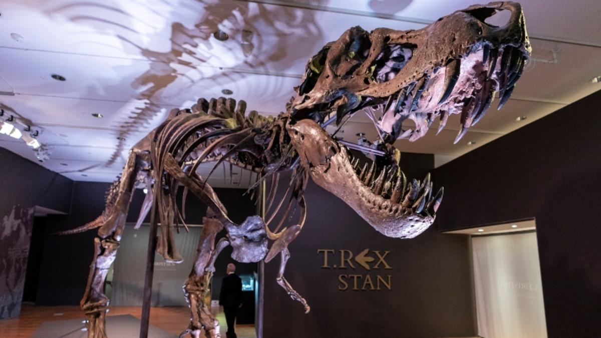 Devasa Dinozor İskeleti Açık Arttırmada 30 Milyon Dolara Satıldı