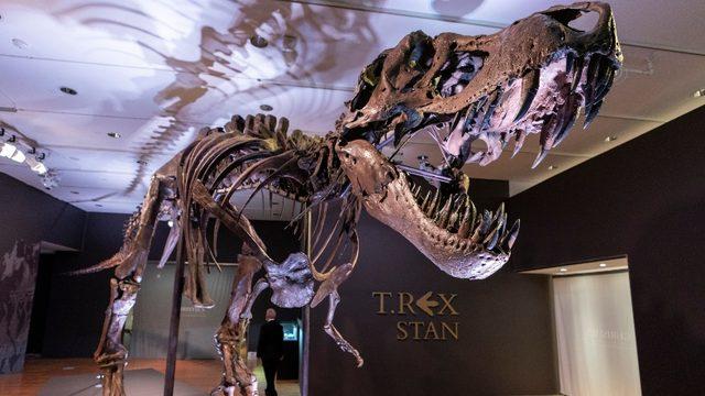 Devasa Dinozor İskeleti Açık Arttırmada 30 Milyon Dolara Satıldı