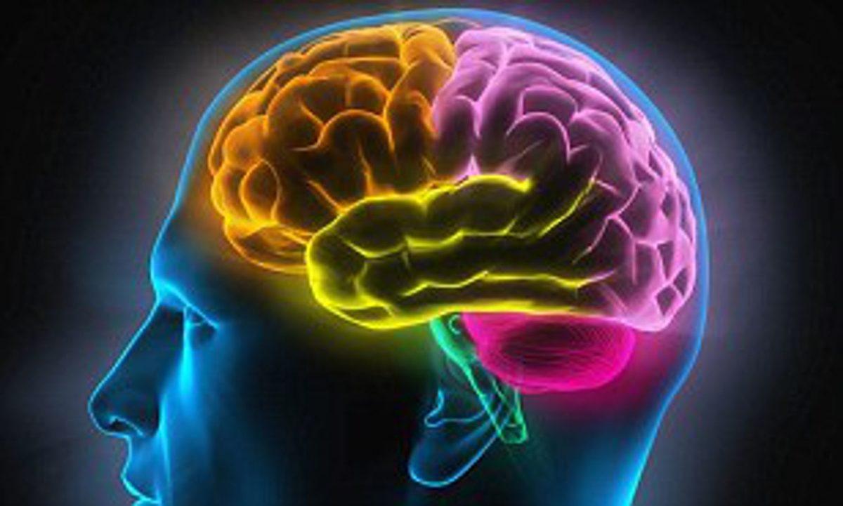 Beynimizin Güncel Tehlikeleri Geçmiştekilerden Nasıl Ayırdığı Ortaya Çıktı