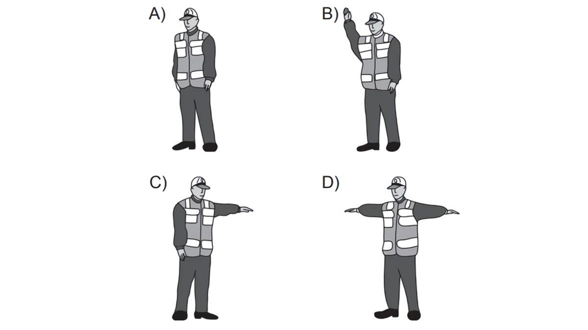 Ehliyetini Bakkaldan Almayan Herkesin Full Çekeceği Bu Testte En Fazla Kaç Doğru Yapabilirsin?