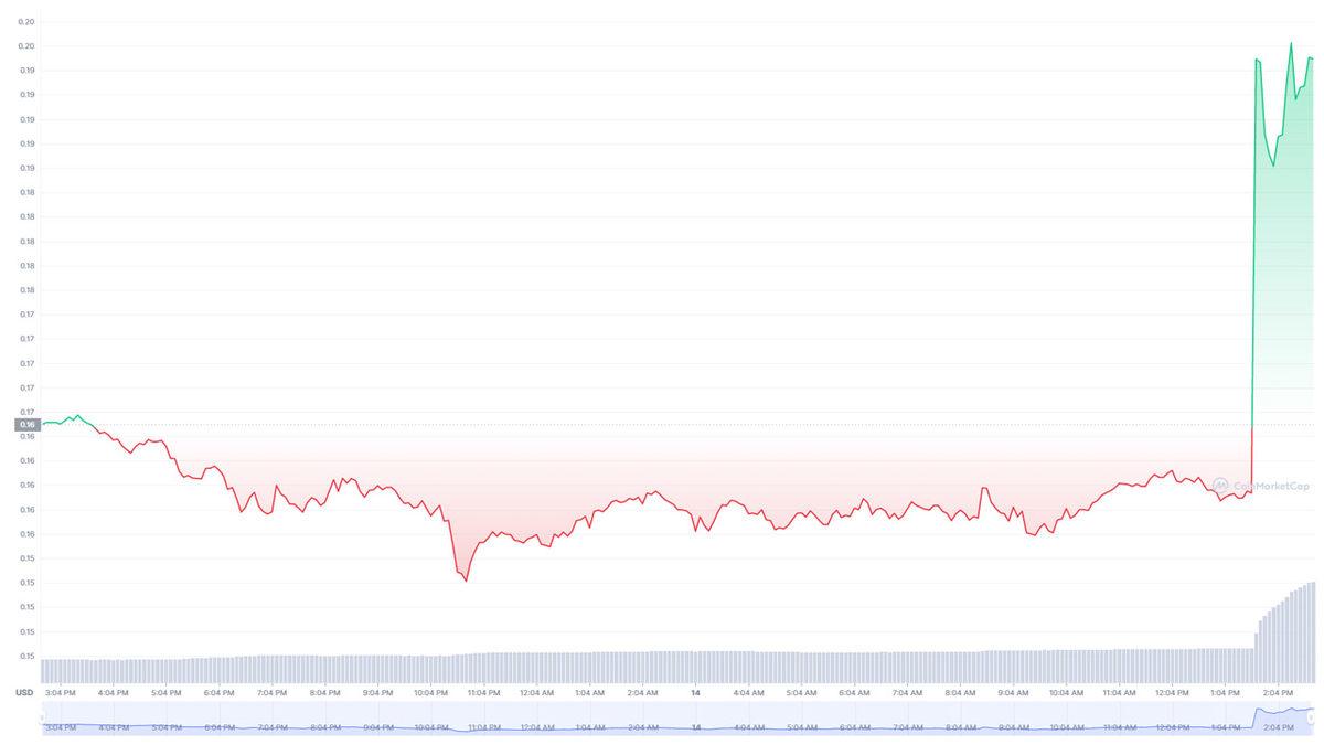 Elon Musk, Yine Tek Bir Tweeti ile DOGE’u Uçuşa Geçirdi
