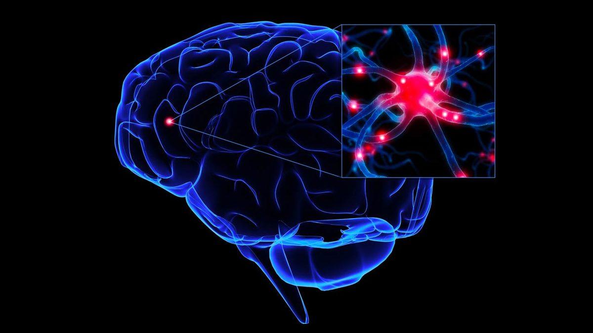 Bilim İnsanları Açıkladı: Beyin Cerrahları Ya da Roket Bilimciler Genel Nüfustan Daha Zeki Değil