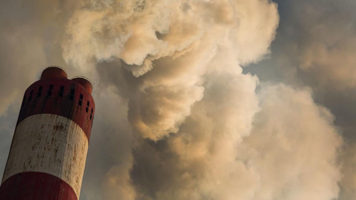 Tüm Dünyada Doğurganlığın Düşmesinin Asıl Nedeni Açıklandı