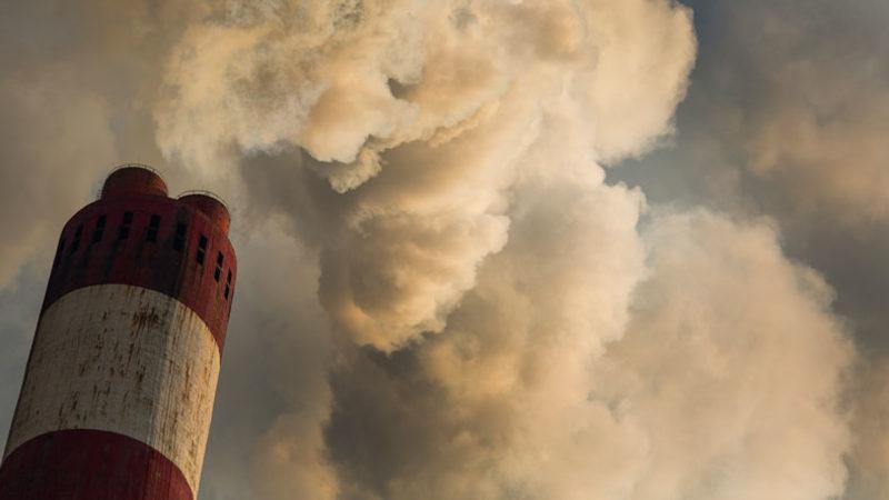 Tüm Dünyada Doğurganlığın Düşmesinin Asıl Nedeni Açıklandı