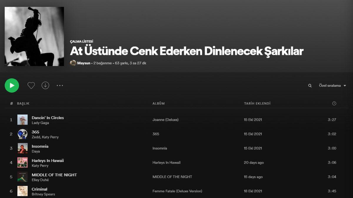 Spotify’da Yaratıcılık Sınırlarını Zorlayan Birbirinden Komik Playlist İsimleri