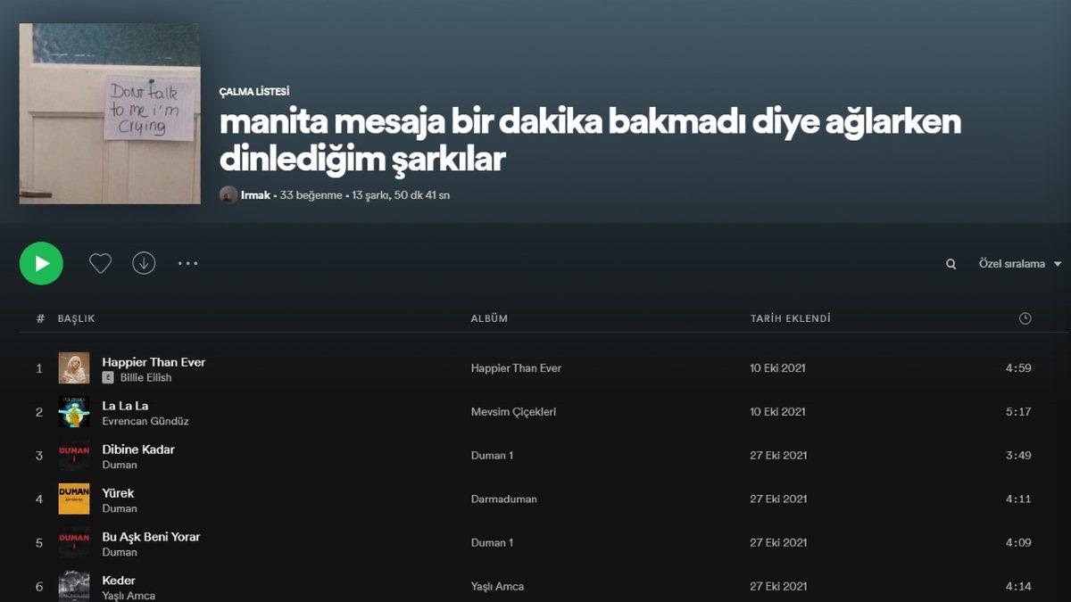 Spotify’da Yaratıcılık Sınırlarını Zorlayan Birbirinden Komik Playlist İsimleri