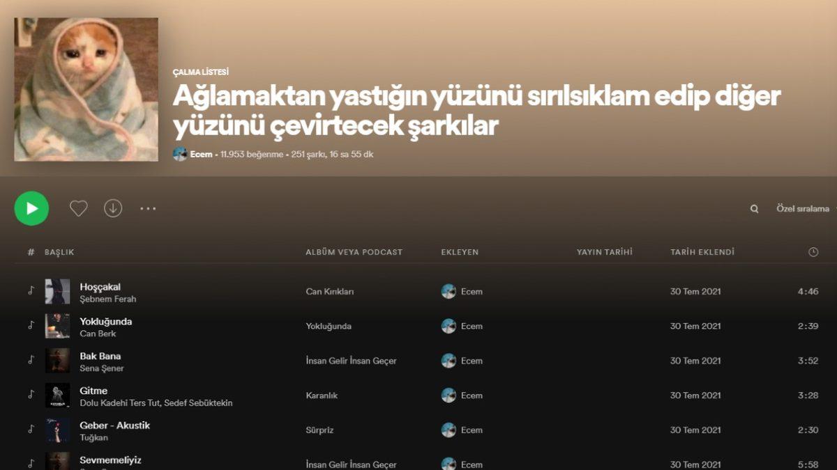 Spotify’da Yaratıcılık Sınırlarını Zorlayan Birbirinden Komik Playlist İsimleri