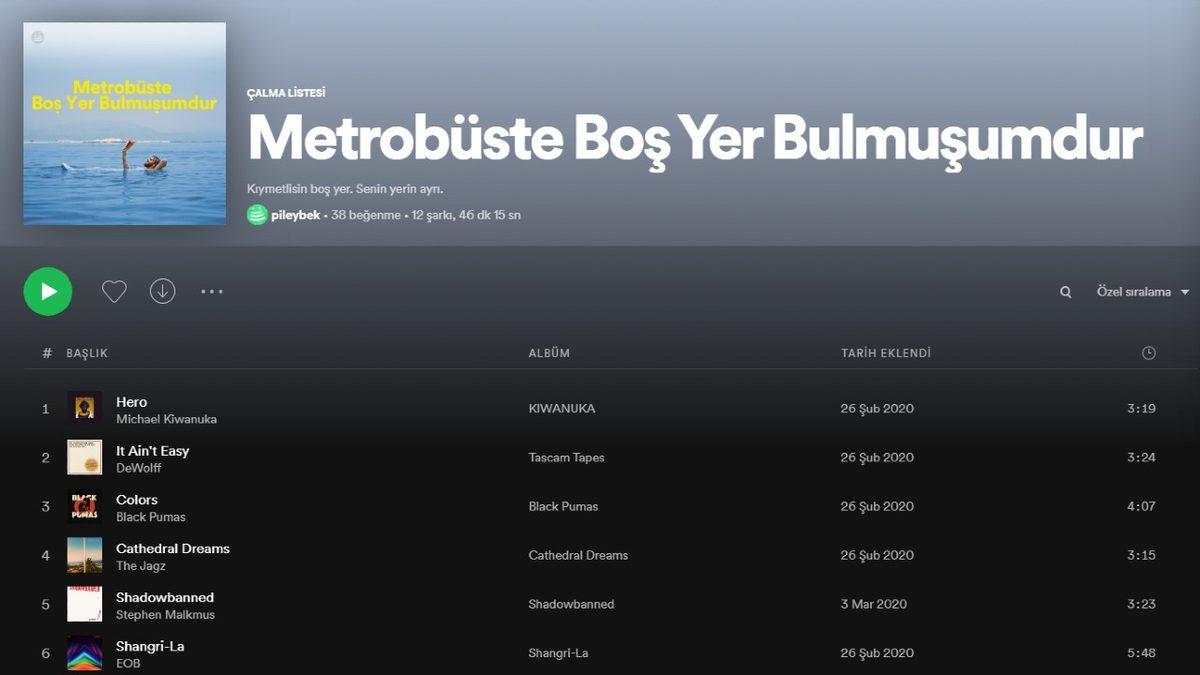 Spotify’da Yaratıcılık Sınırlarını Zorlayan Birbirinden Komik Playlist İsimleri