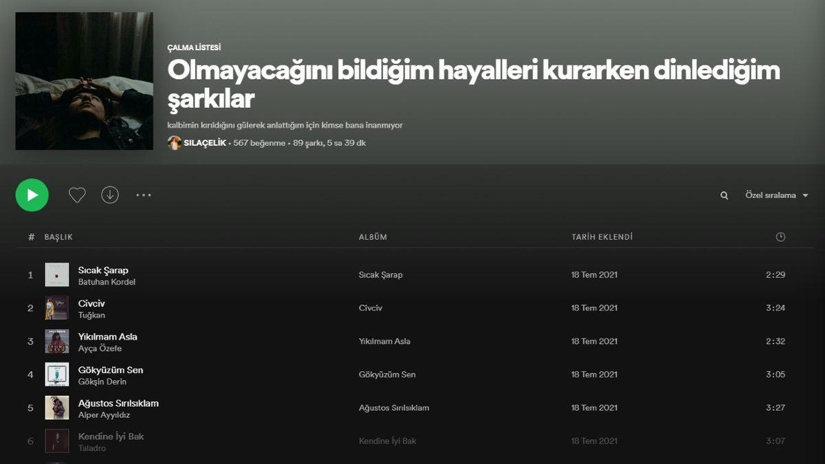 Spotify’da Yaratıcılık Sınırlarını Zorlayan Birbirinden Komik Playlist İsimleri