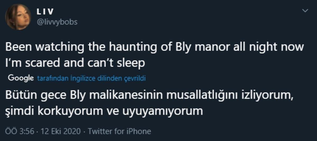 Netflix’in Yeni Dizisi The Haunting: Bly Malikânesi, İzleyenlerin Uykularını Kaçırdı