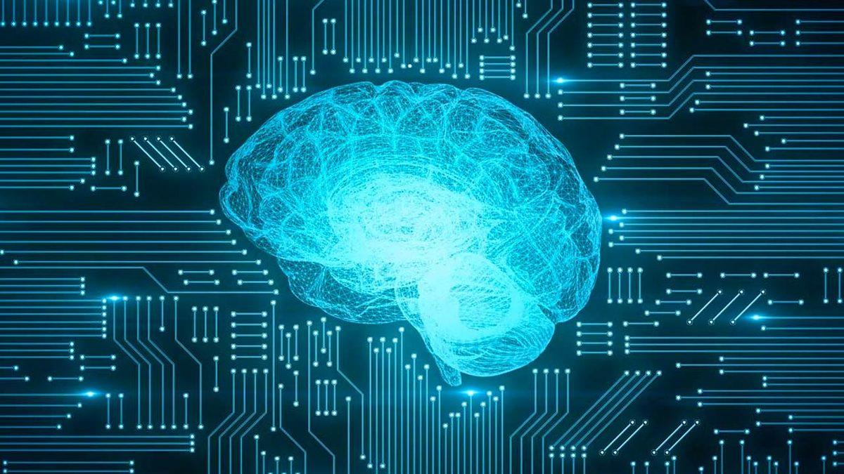 İnsan Beyninden İlham Alındı: Bir Robot, Kendi Başına Bir Labirentten Çıkmayı Başardı