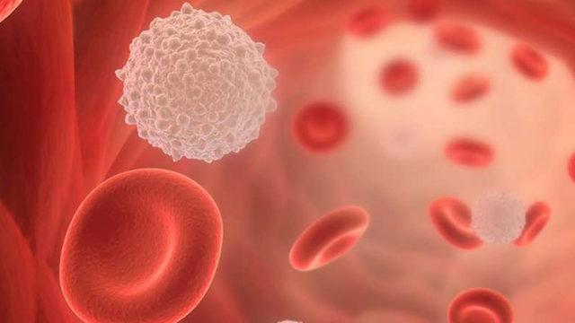 Kan Grubu 0 Olanların Koronavirüse Karşı Avantajlı Olduğu Anlaşıldı