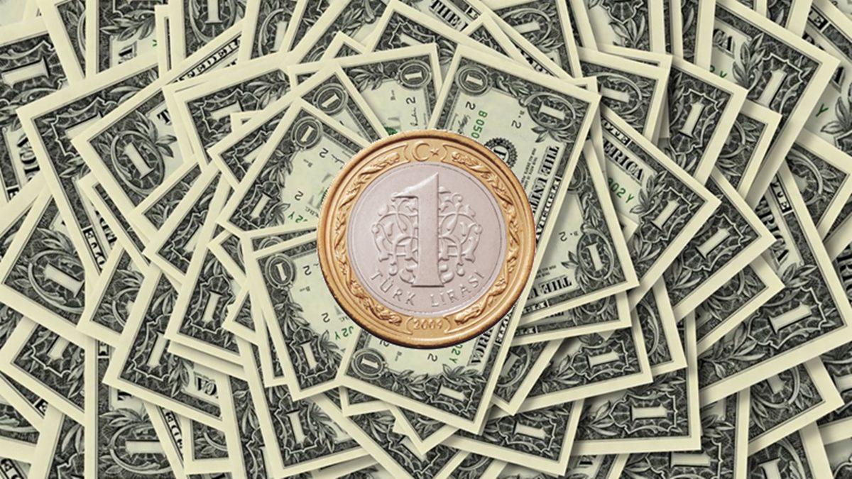 Dolar Aniden 1 TL’ye Düşerse Ne Olur?