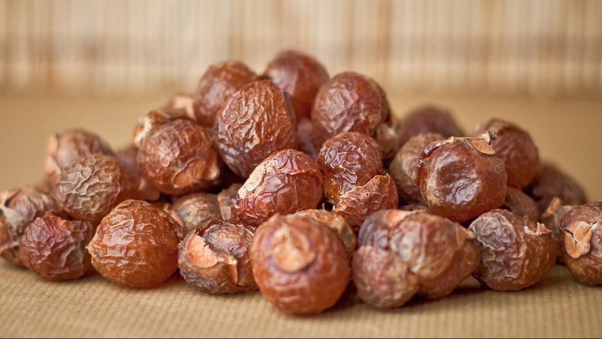 Çamaşır Deterjanları Yerine Kullanılan İlginç Bitki: Soapberry Nedir, Deterjandan Daha mı Etkili?