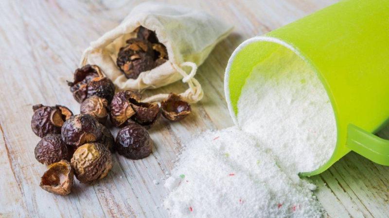 Çamaşır Deterjanları Yerine Kullanılan İlginç Bitki: Soapberry Nedir, Deterjandan Daha mı Etkili?