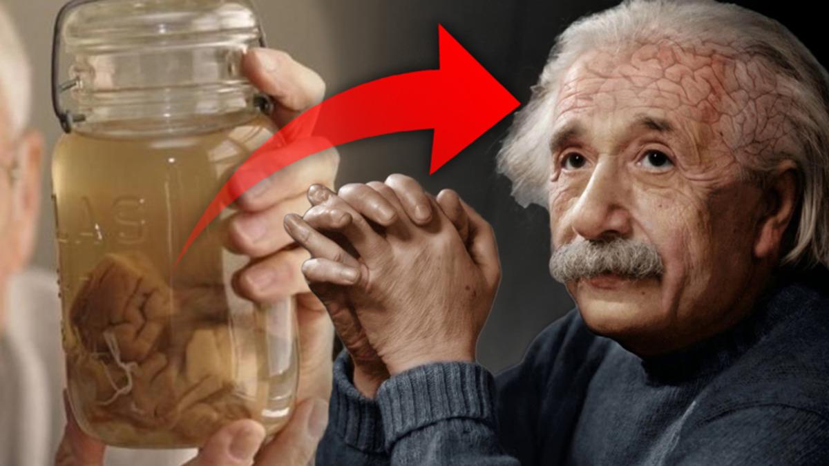 Bira Dolabında Saklamış: Einstein’ın Öldükten Sonra Çalınan Beyninin İlginç Hikayesi