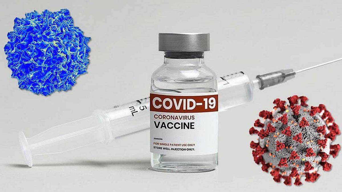 Kabus Bitiyor Olabilir: İki Doz Aşı Vurulduktan Sonra COVID-19 Olanların ’Süper Bağışıklık’ Kazandığı Ortaya Çıktı