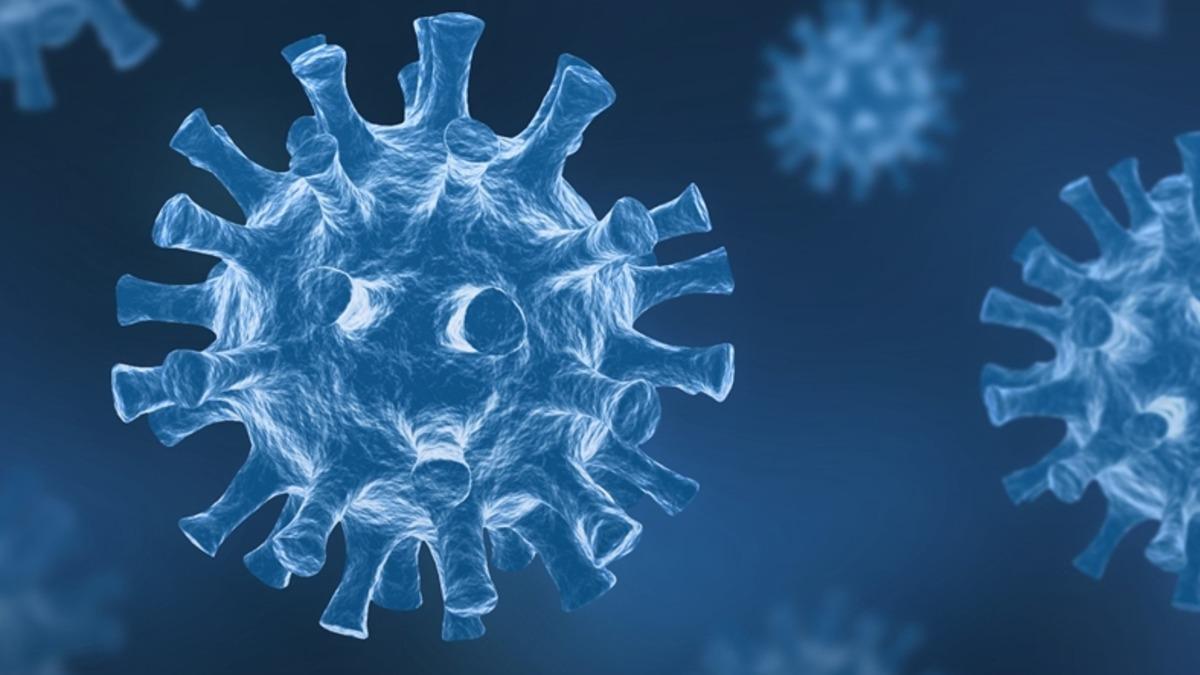 Koronavirüsün İnsan Cildi Üzerinde 9 Saat Aktif Kalabildiği Bilimsel Olarak Kanıtlandı