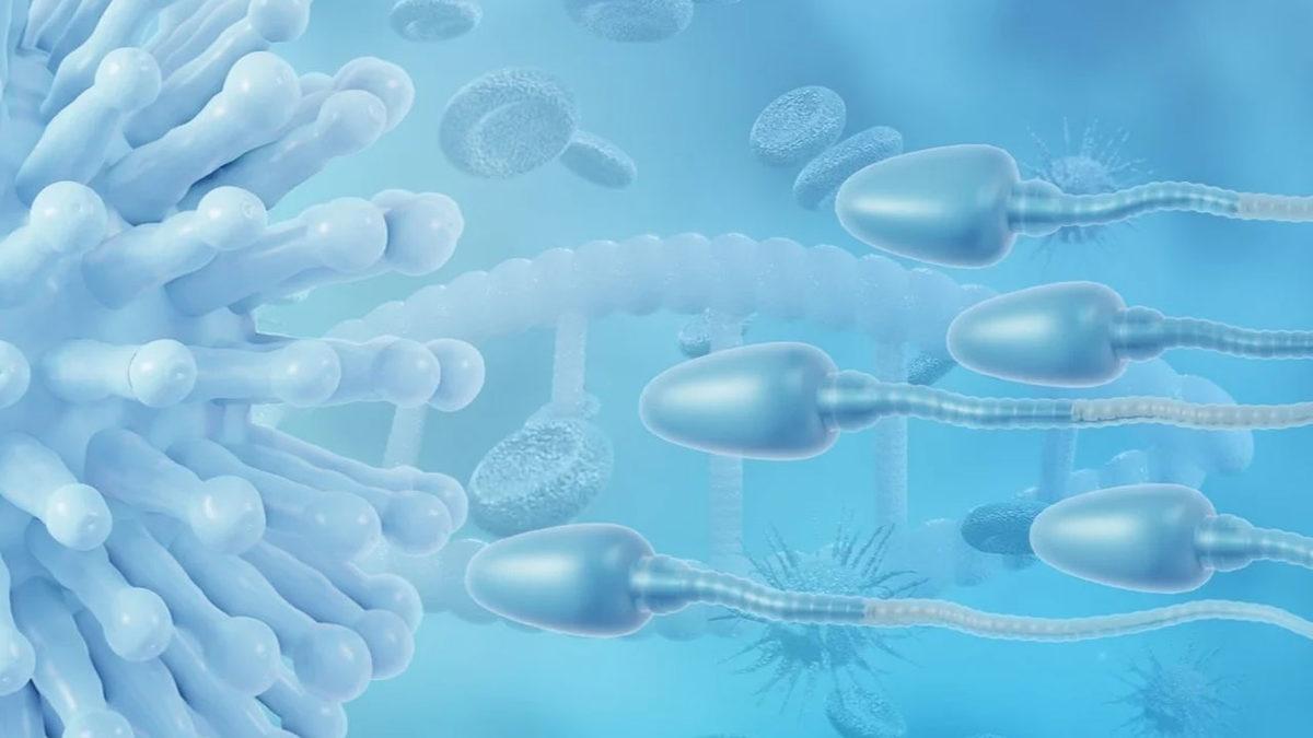 Koronavirüsün Sperm Sayısı ve Kalitesine Korkutan Etkisi Açıklandı