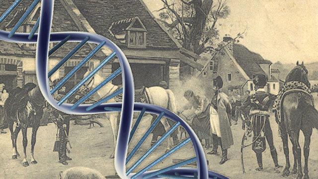 Dünyanın En Eski Soyağacı Ortaya Çıkarıldı: Tam 6.000 Yıl Öncesine Dayanıyor