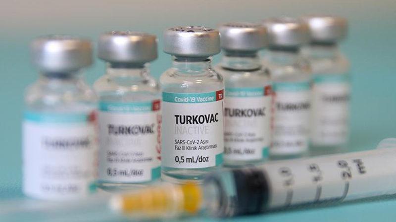 Bilim Kurulu Üyesi Son Noktayı Koydu: Sinovac mı Daha Etkili TURKOVAC mı?