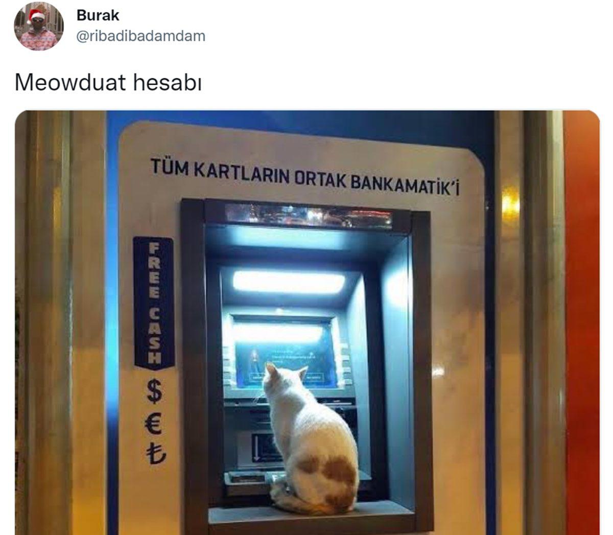 Canı Sıkılanlar Buraya: Bu Haftanın Gözden Kaçırılmaması Gereken En Komik 22 Tweet’i