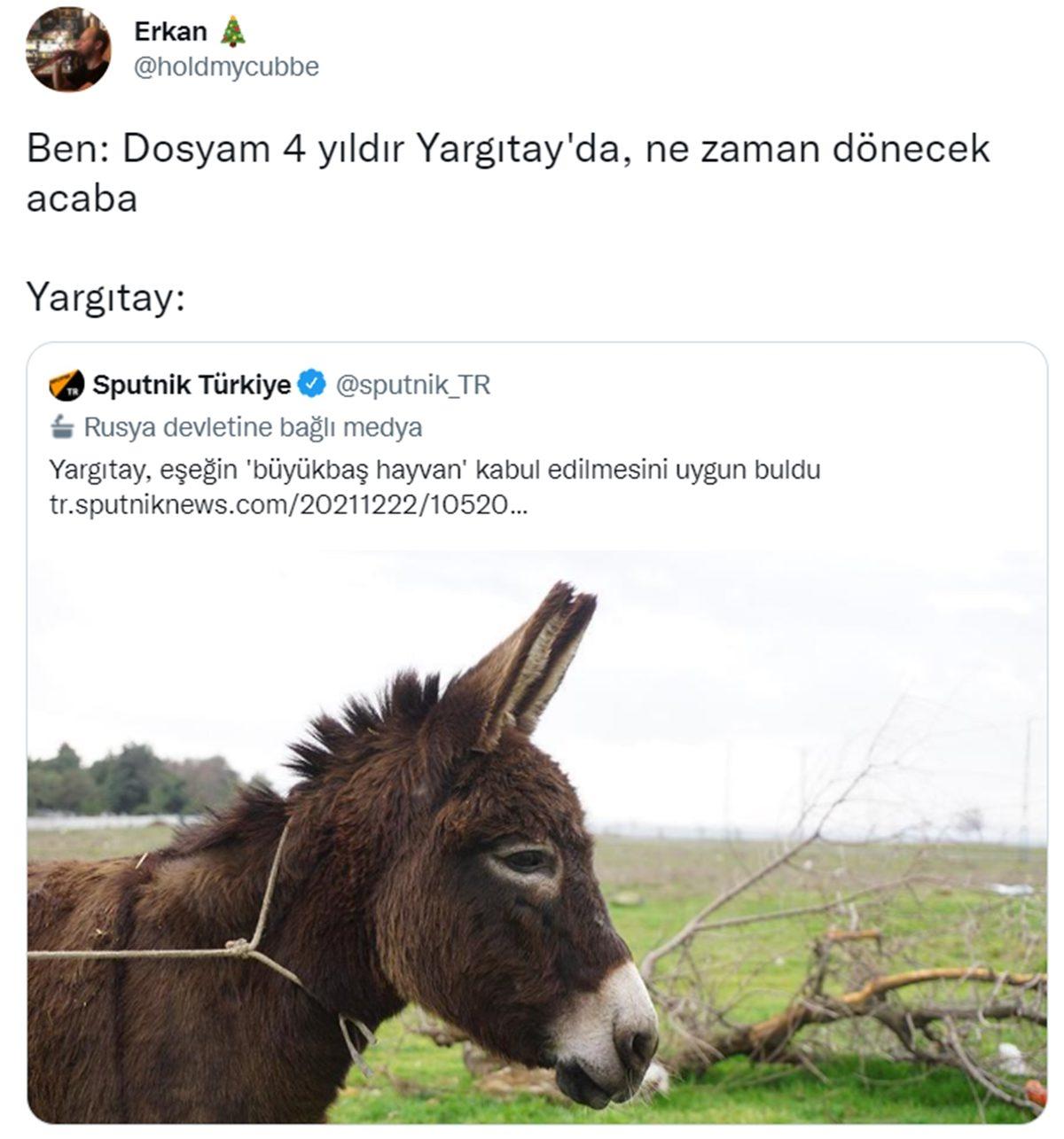 Canı Sıkılanlar Buraya: Bu Haftanın Gözden Kaçırılmaması Gereken En Komik 22 Tweet’i