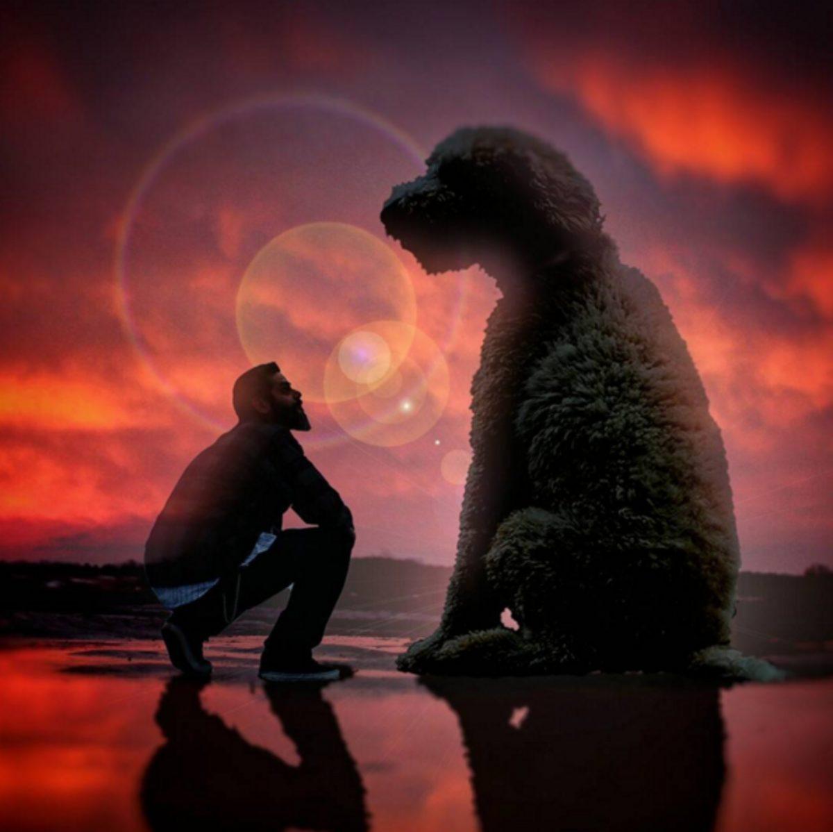 Köpeğini Dev Bir Canavara Dönüştüren Photoshop Ustası