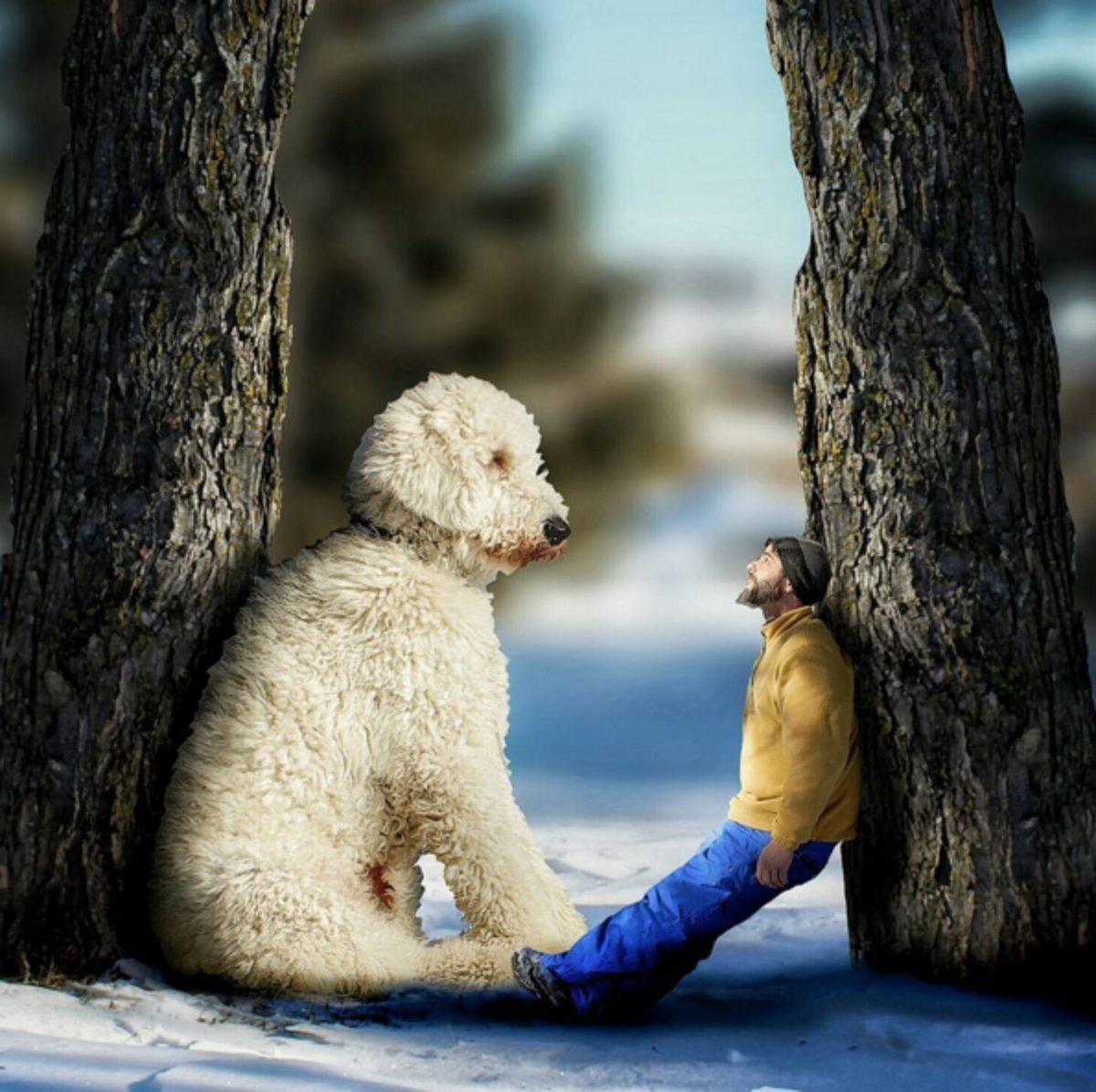 Köpeğini Dev Bir Canavara Dönüştüren Photoshop Ustası