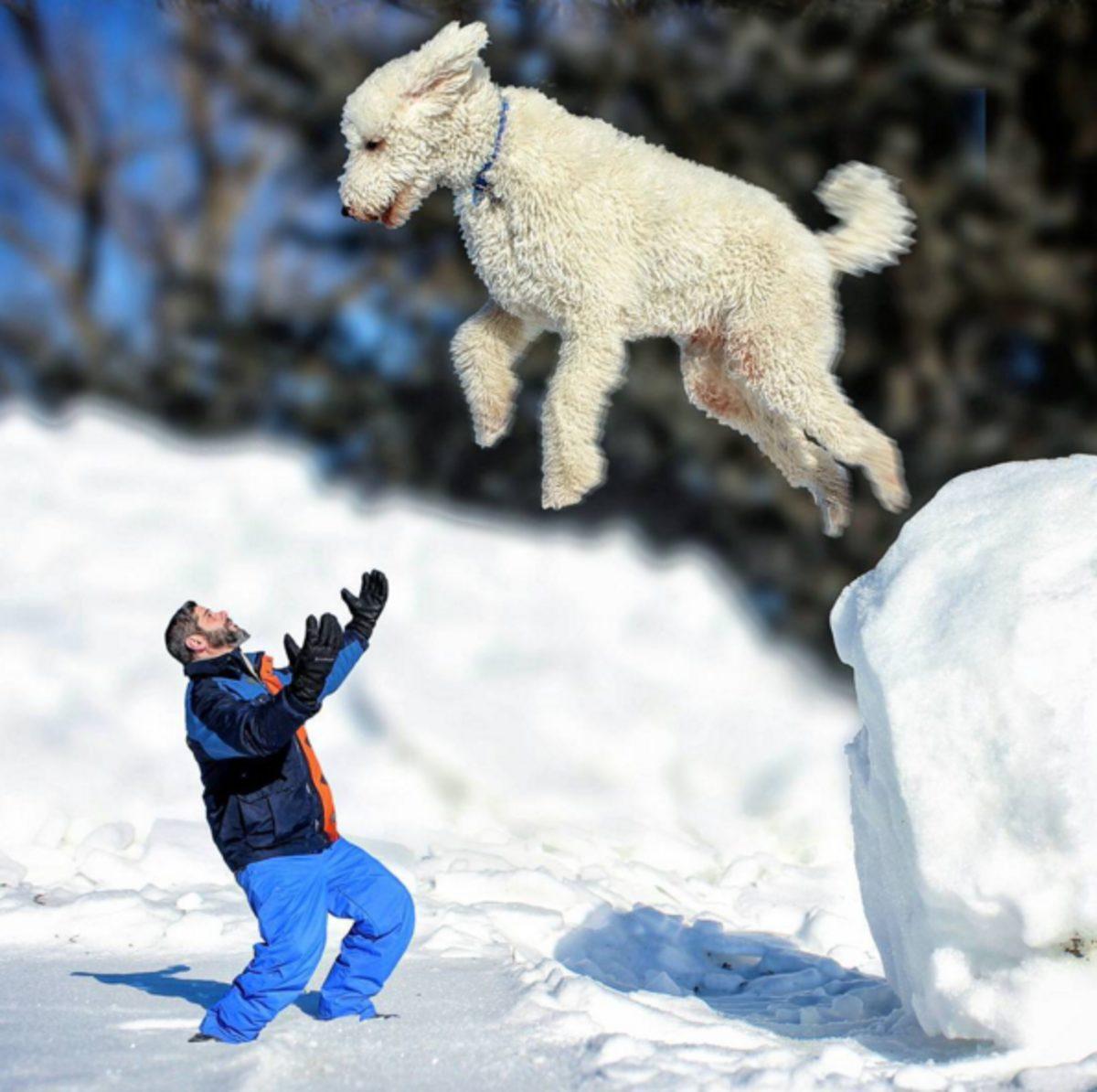 Köpeğini Dev Bir Canavara Dönüştüren Photoshop Ustası