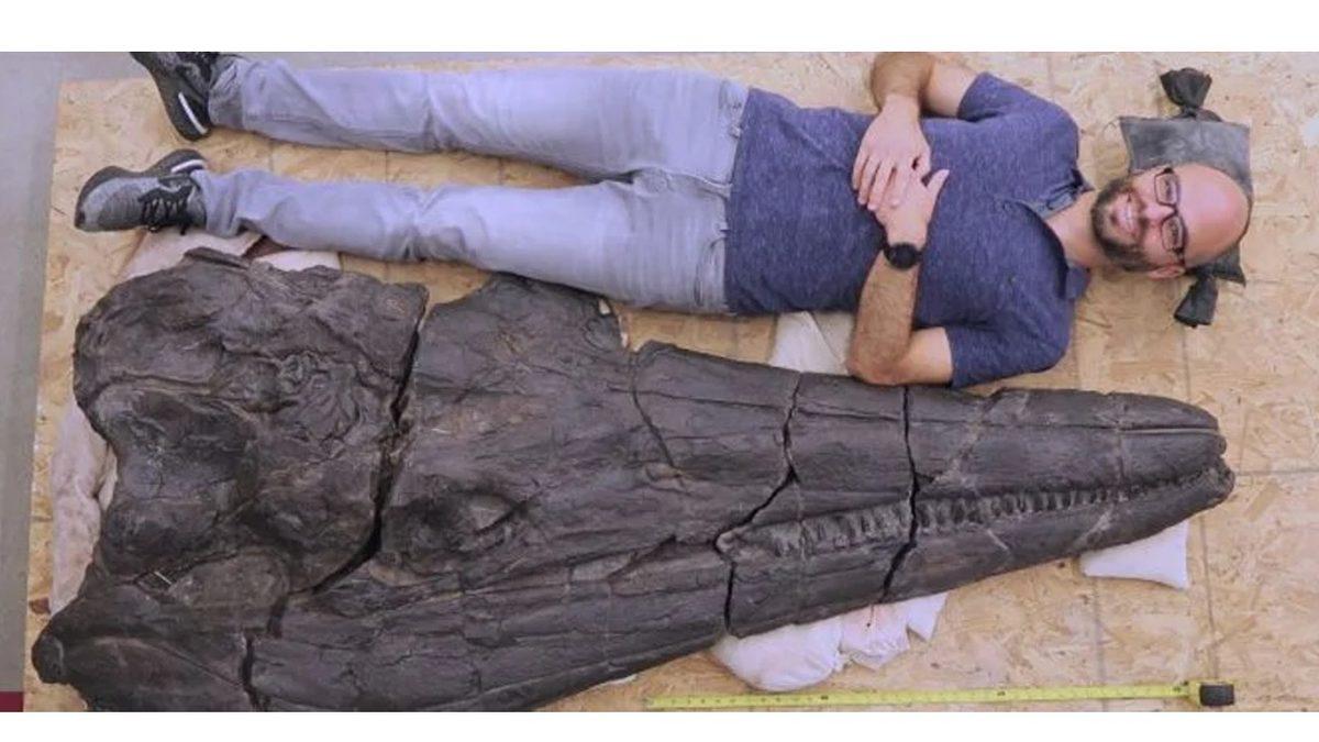 247 Milyon Yıl Önce Süper Okyanusta Yaşamış Olan Devasa Bir Triyas Deniz Canavarı Keşfedildi