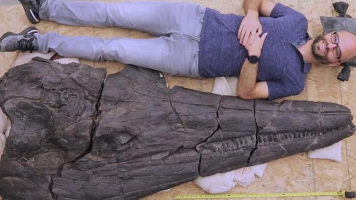 247 Milyon Yıl Önce Süper Okyanusta Yaşamış Olan Devasa Bir Triyas Deniz Canavarı Keşfedildi