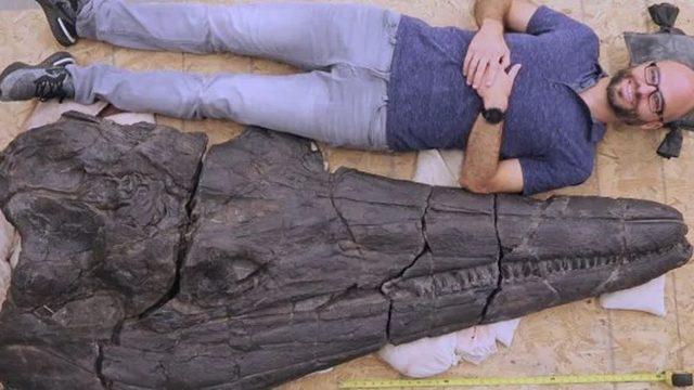 247 Milyon Yıl Önce Süper Okyanusta Yaşamış Olan Devasa Bir Triyas Deniz Canavarı Keşfedildi