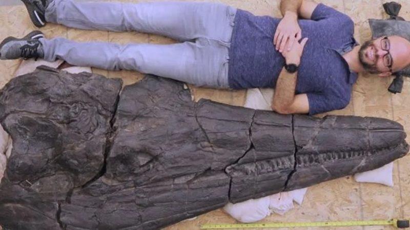 247 Milyon Yıl Önce Süper Okyanusta Yaşamış Olan Devasa Bir Triyas Deniz Canavarı Keşfedildi