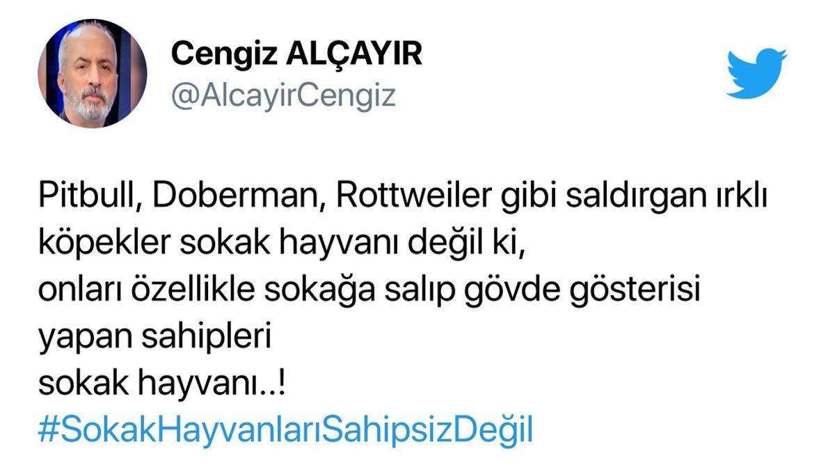 Cumhurbaşkanı Erdoğan’ın ’Sokak Hayvanlarının Toplatılması’ Teklifi Sosyal Medyanın Gündeminde: İşte Gelen Tepkiler