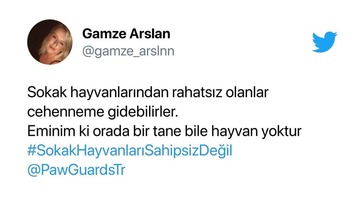 Cumhurbaşkanı Erdoğan’ın ’Sokak Hayvanlarının Toplatılması’ Teklifi Sosyal Medyanın Gündeminde: İşte Gelen Tepkiler